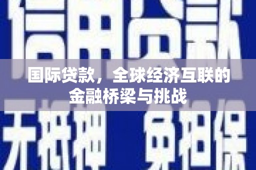 官田国际贷款，全球经济互联的金融桥梁与挑战