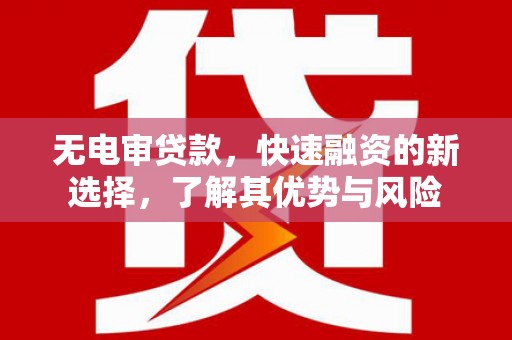 官田无电审贷款，快速融资的新选择，了解其优势与风险