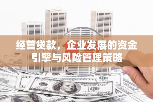 官田经营贷款，企业发展的资金引擎与风险管理策略