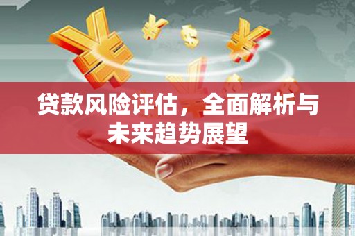 官田贷款风险评估，全面解析与未来趋势展望