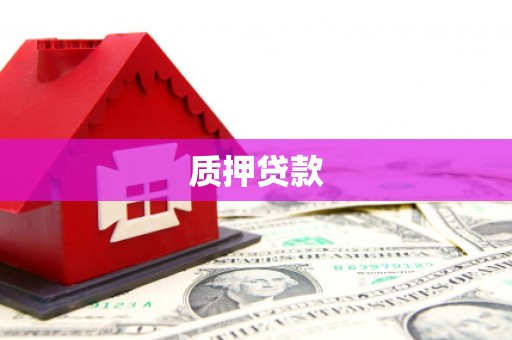 官田质押贷款