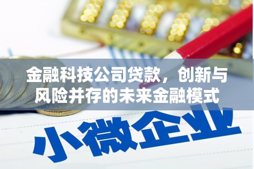 官田金融科技公司贷款，创新与风险并存的未来金融模式