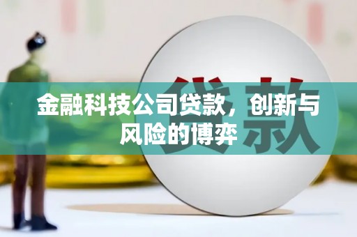 官田金融科技公司贷款，创新与风险的博弈