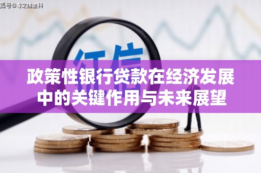 官田政策性银行贷款在经济发展中的关键作用与未来展望