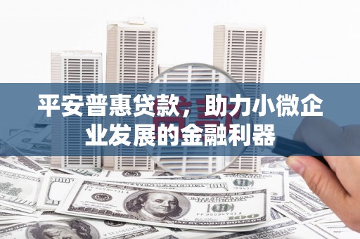官田平安普惠贷款，助力小微企业发展的金融利器