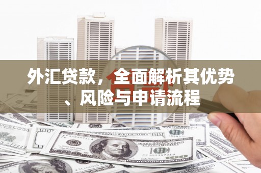 官田外汇贷款，全面解析其优势、风险与申请流程