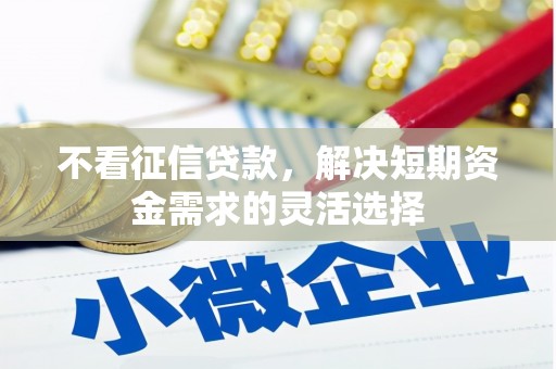 官田不看征信贷款，解决短期资金需求的灵活选择