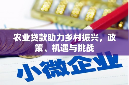官田农业贷款助力乡村振兴，政策、机遇与挑战