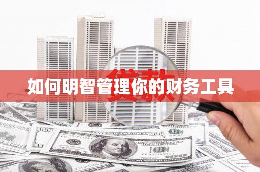 官田如何明智管理你的财务工具