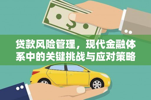 官田贷款风险管理，现代金融体系中的关键挑战与应对策略