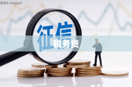 官田税务贷