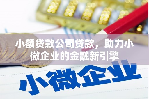 官田小额贷款公司贷款，助力小微企业的金融新引擎