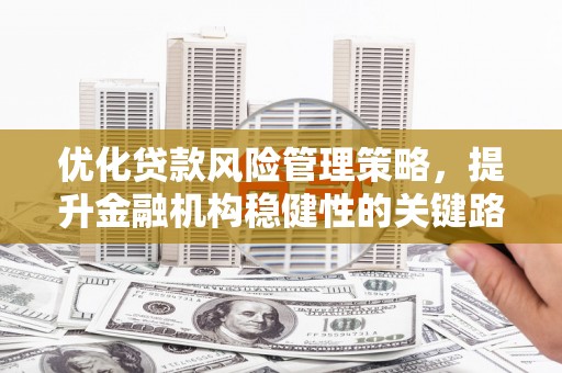 官田优化贷款风险管理策略，提升金融机构稳健性的关键路径