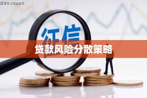 官田贷款风险分散策略