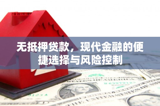 官田无抵押贷款，现代金融的便捷选择与风险控制