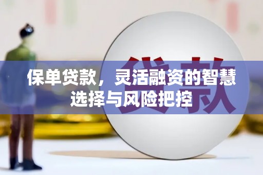 官田保单贷款，灵活融资的智慧选择与风险把控