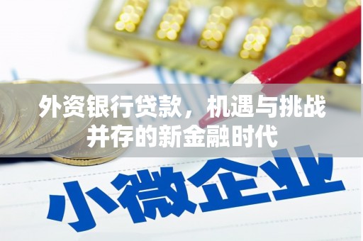 官田外资银行贷款，机遇与挑战并存的新金融时代