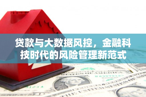官田贷款与大数据风控，金融科技时代的风险管理新范式