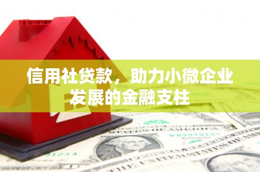 官田信用社贷款，助力小微企业发展的金融支柱