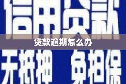 官田贷款逾期怎么办