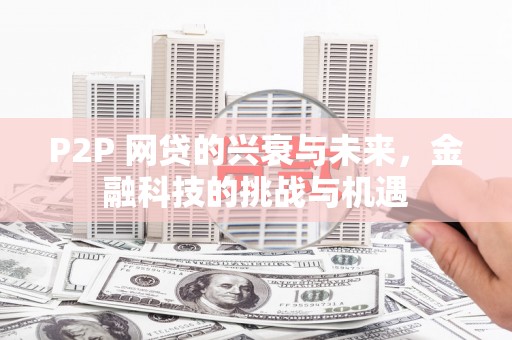 官田P2P 网贷的兴衰与未来，金融科技的挑战与机遇