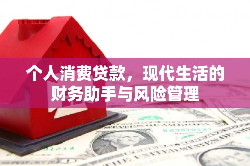 官田个人消费贷款，现代生活的财务助手与风险管理