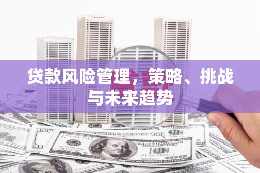 官田贷款风险管理，策略、挑战与未来趋势
