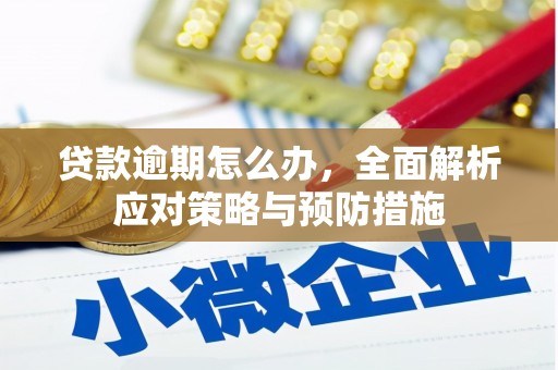 官田贷款逾期怎么办，全面解析应对策略与预防措施