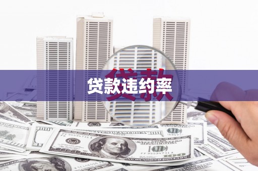 官田贷款违约率