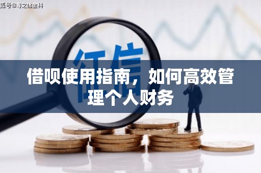 官田借呗使用指南，如何高效管理个人财务