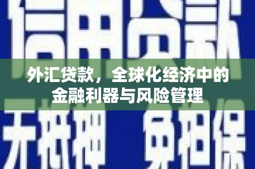 官田外汇贷款，全球化经济中的金融利器与风险管理