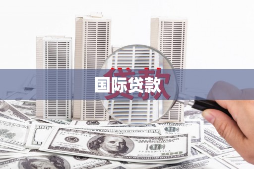 官田国际贷款