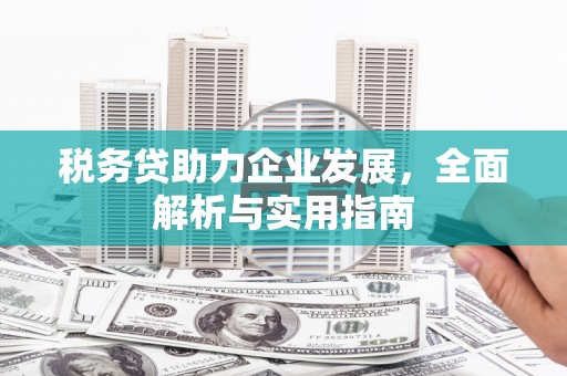 官田税务贷助力企业发展，全面解析与实用指南