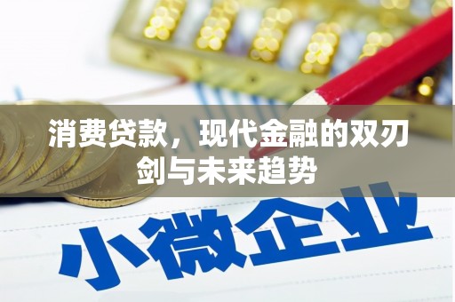 官田消费贷款，现代金融的双刃剑与未来趋势