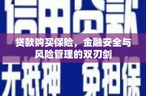 官田贷款购买保险，金融安全与风险管理的双刃剑