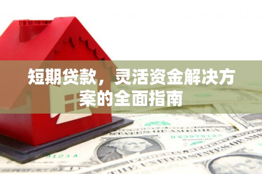 官田短期贷款，灵活资金解决方案的全面指南