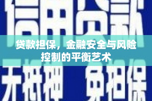 官田贷款担保，金融安全与风险控制的平衡艺术