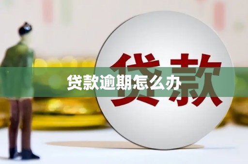 官田贷款逾期怎么办