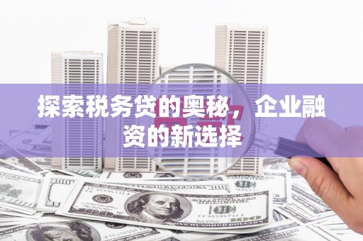官田探索税务贷的奥秘，企业融资的新选择