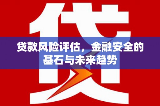 官田贷款风险评估，金融安全的基石与未来趋势