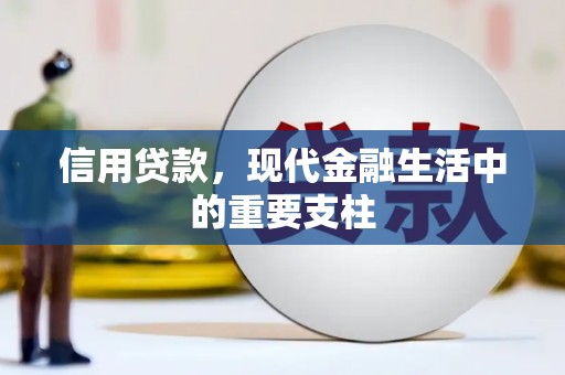官田信用贷款，现代金融生活中的重要支柱
