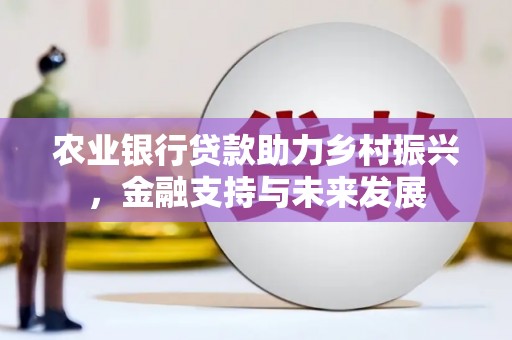 官田农业银行贷款助力乡村振兴，金融支持与未来发展