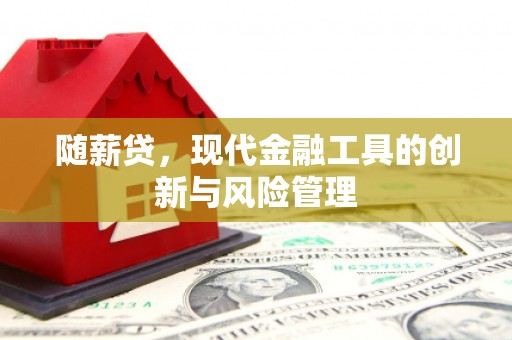 官田随薪贷，现代金融工具的创新与风险管理