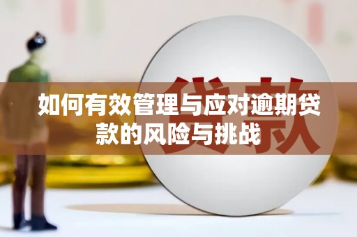 官田如何有效管理与应对逾期贷款的风险与挑战