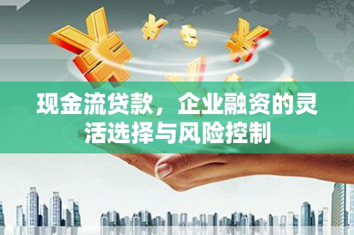 官田现金流贷款，企业融资的灵活选择与风险控制