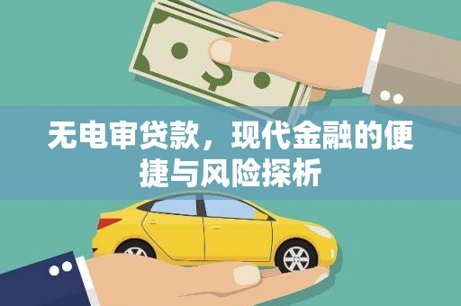 官田无电审贷款，现代金融的便捷与风险探析