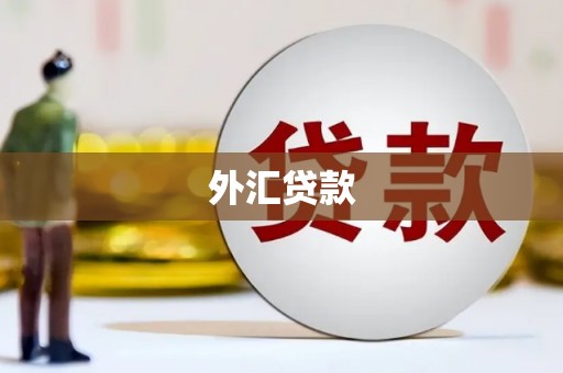 官田外汇贷款