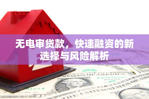 官田无电审贷款，快速融资的新选择与风险解析