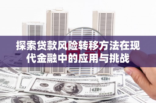 官田探索贷款风险转移方法在现代金融中的应用与挑战
