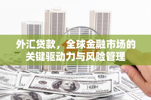 官田外汇贷款，全球金融市场的关键驱动力与风险管理